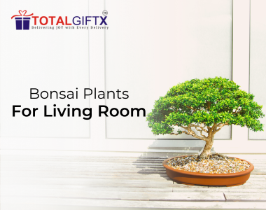 5 types of bonsai plants