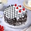 Black_Forest_Bliss_TotalGiftX