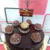 chocolate rocher cake