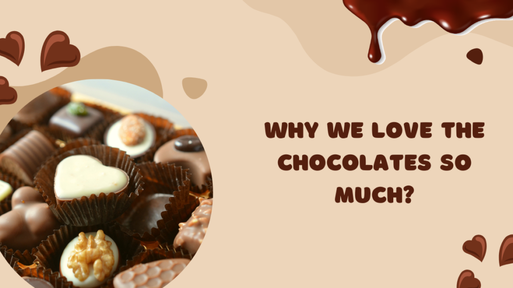 The Science Behind Chocolate: Why We Love It So Much